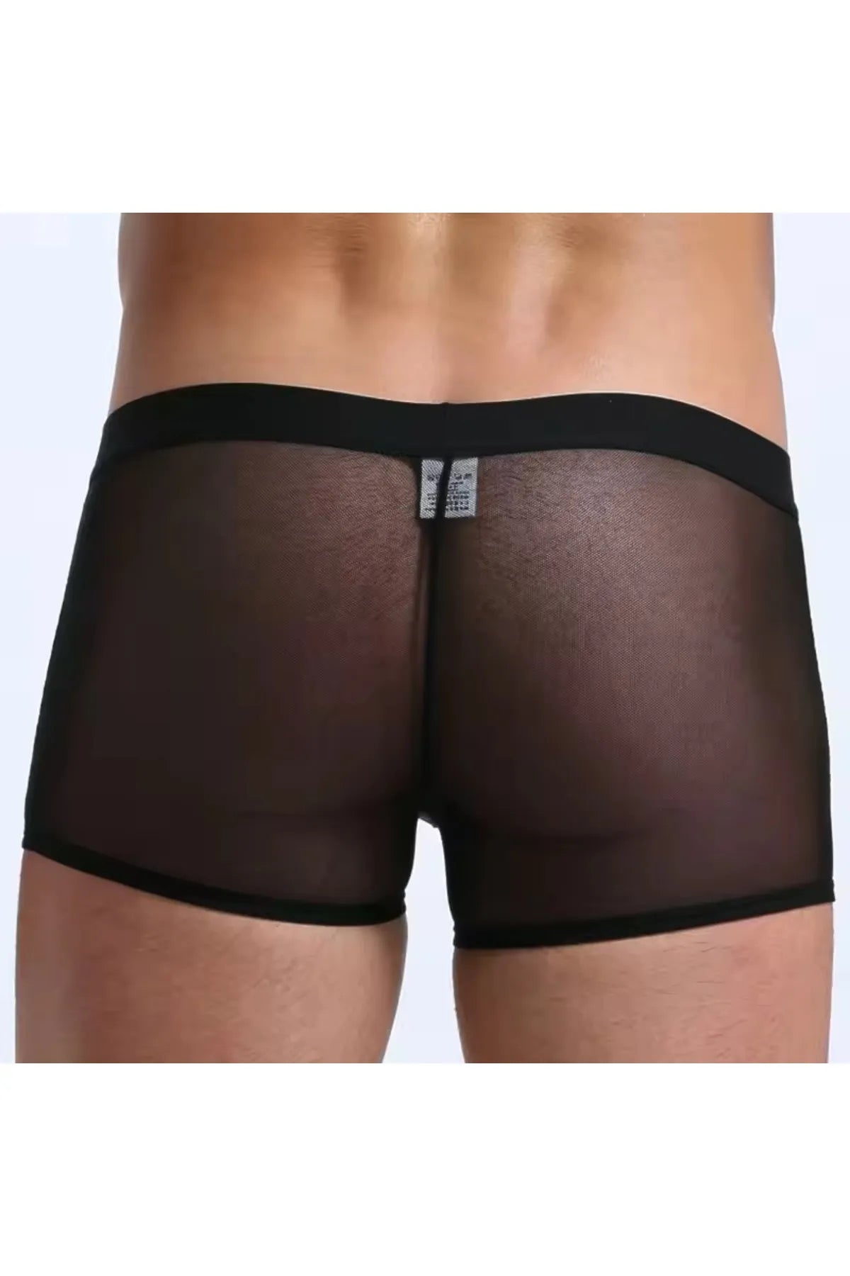 Fantezi Transparan Tül Erkek Boxer Fantezi Tanga TG274603 Detay Görünümü | Moonette